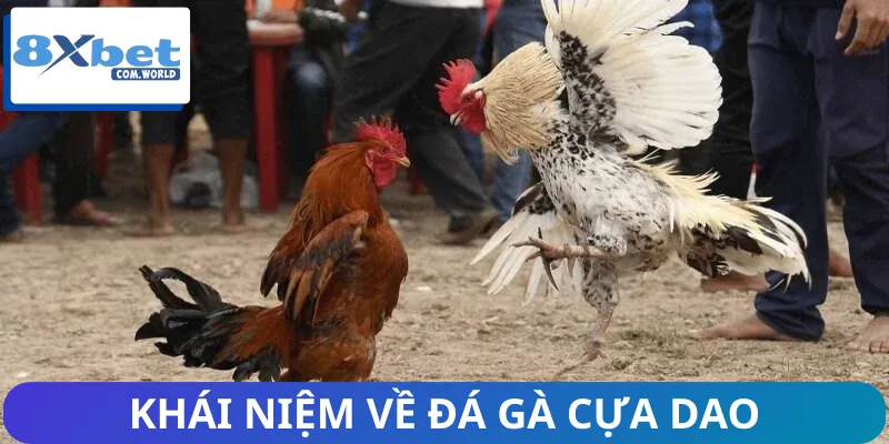 Khái niệm loại hình cá độ đá gà cựa dao