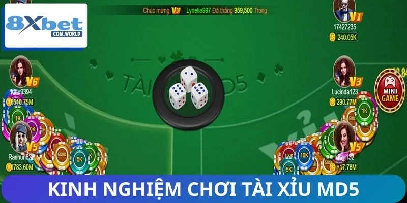 Chơi Tài Xỉu như chuyên gia nhờ bí kíp cao thủ