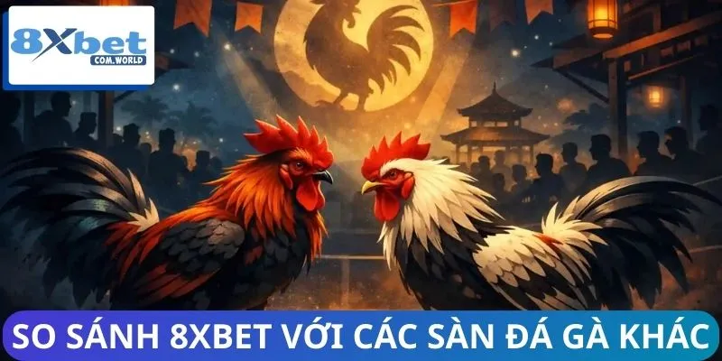 Sàn đá gà tại 8XBET vượt trội hơn hẳn