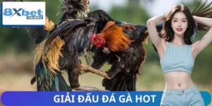 Những Giải Đấu Đá Gà Hot Nhất Trên Trang Game 8XBET