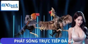 Phát Sóng Trực Tiếp Đá Gà - Đủ Sảnh C1 Đến C6 Siêu Nóng