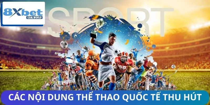 Các nội dung thể thao quốc tế thu hút sự quan tâm nhiều nhất
