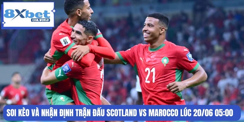 Soi Kèo Scotland Vs Marocco World Cup 05:00 20/06 8XBET 3 Phân tích biến động tỷ lệ cược cặp đấu ngày 20/06